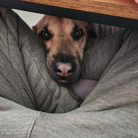 Meet your Posher, Emily - Picture 2 of 8